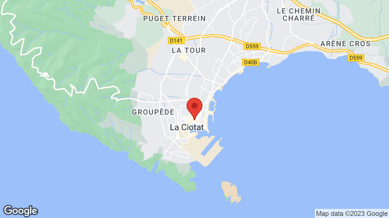Google map