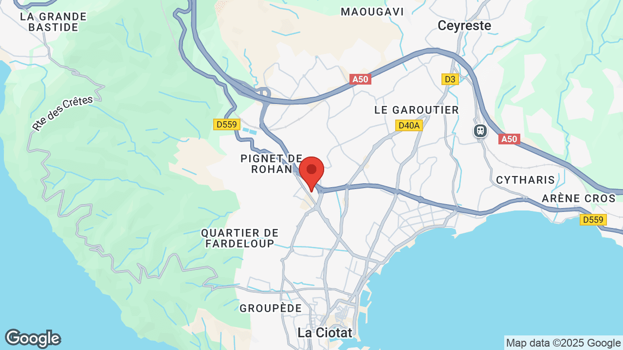 Google map
