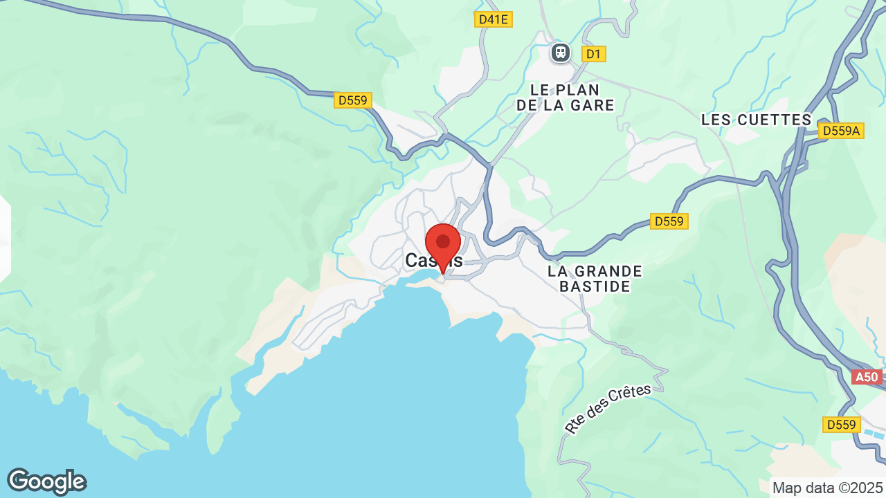 Google map