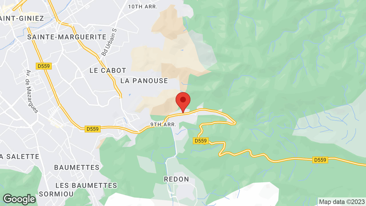 Google map