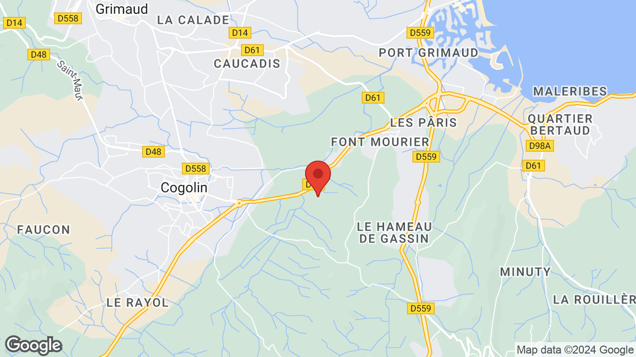 Google map