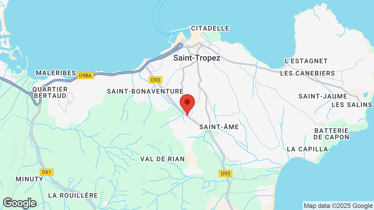 Google map