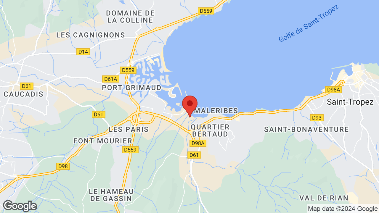 Google map