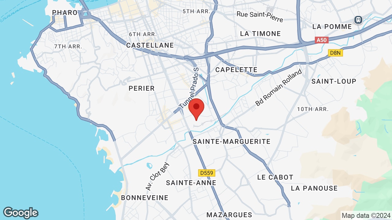 Google map