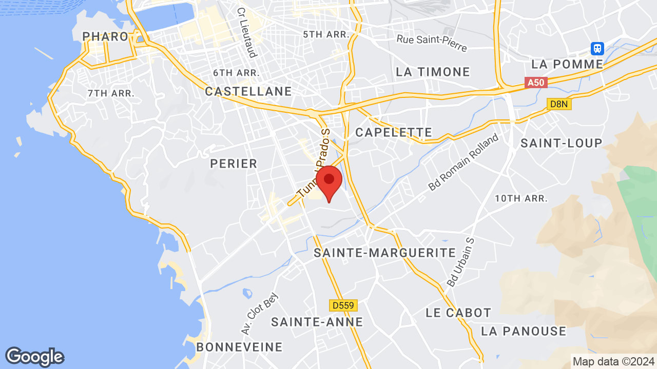 Google map