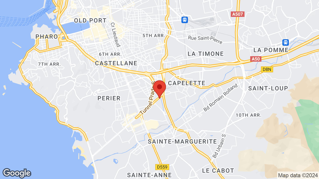 Google map