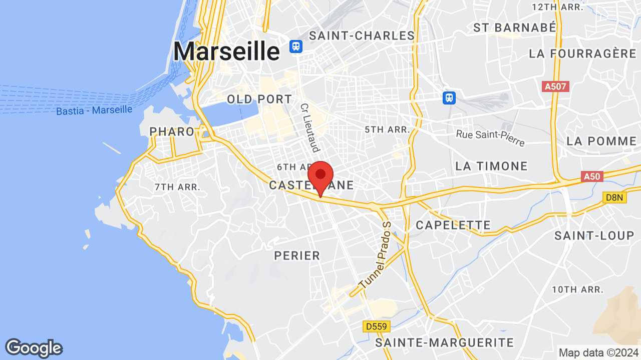Google map