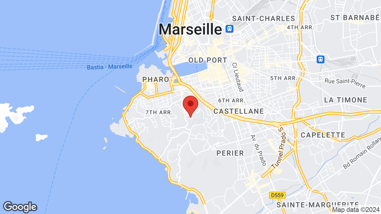 Google map