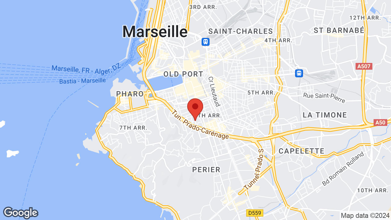 Google map