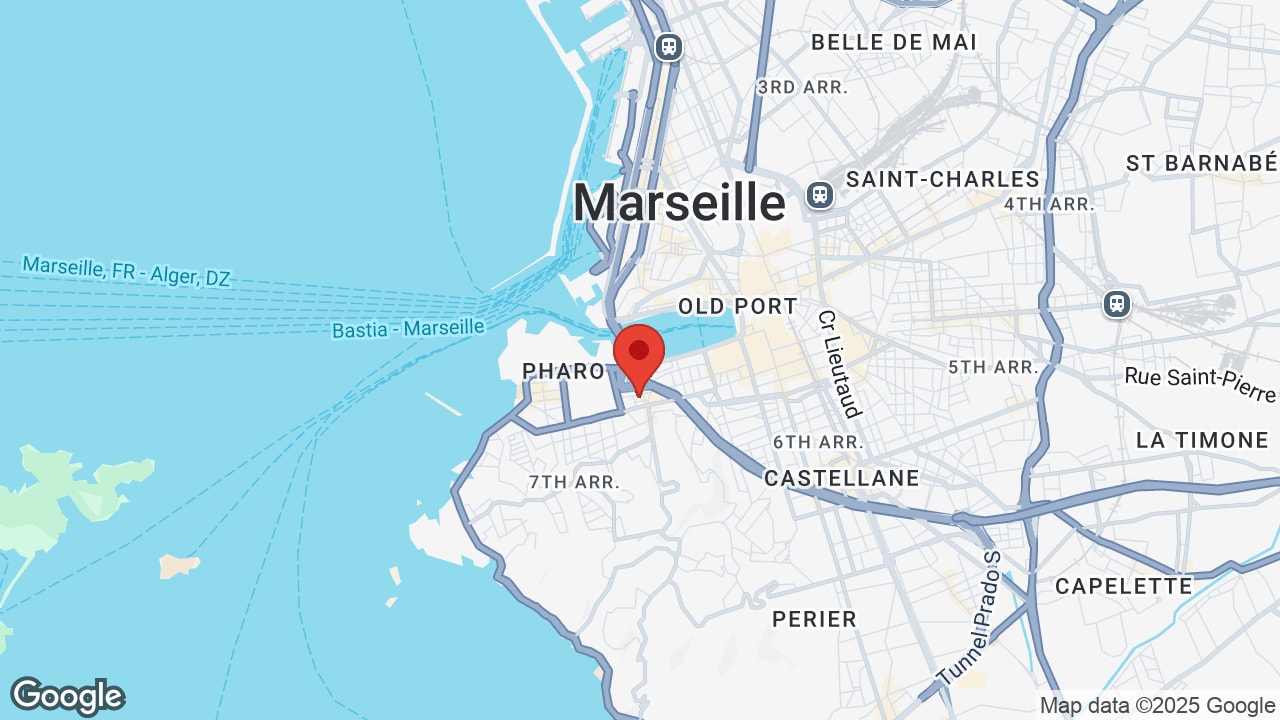 Google map