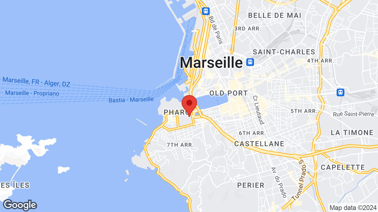 Google map