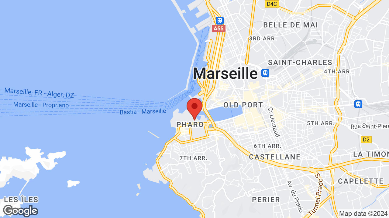 Google map