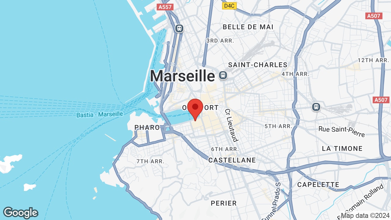 Google map