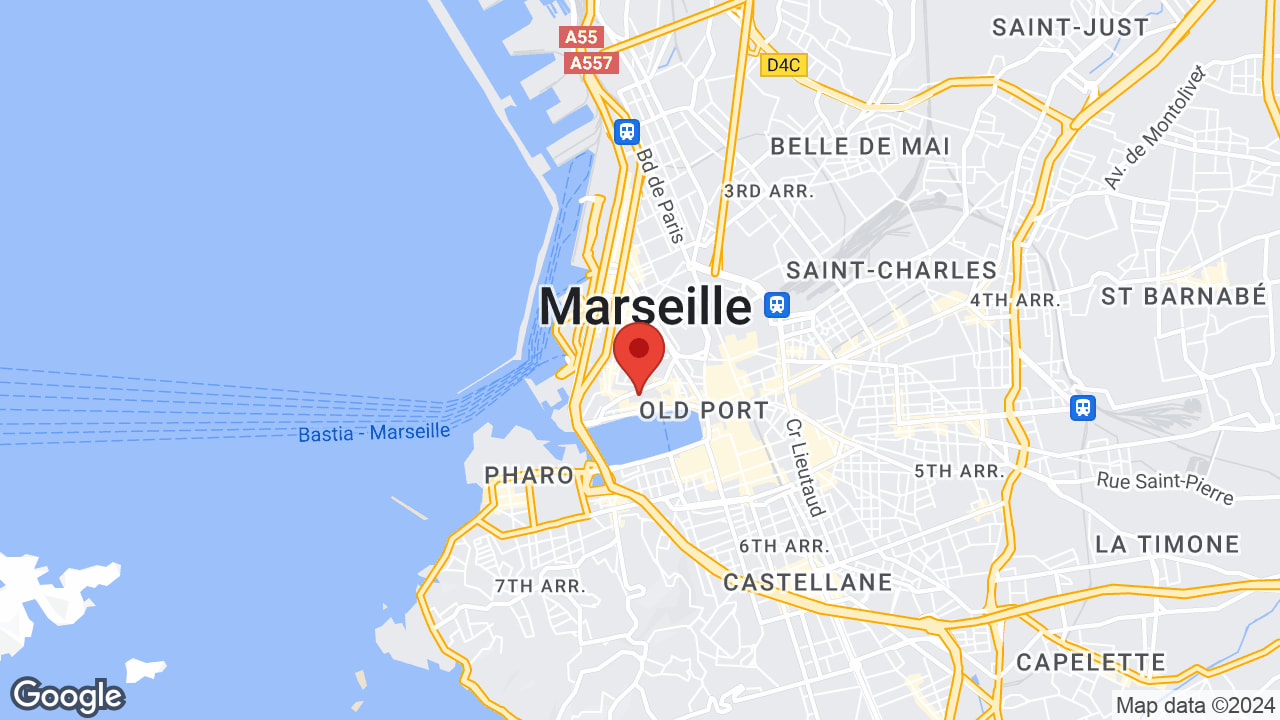 Google map