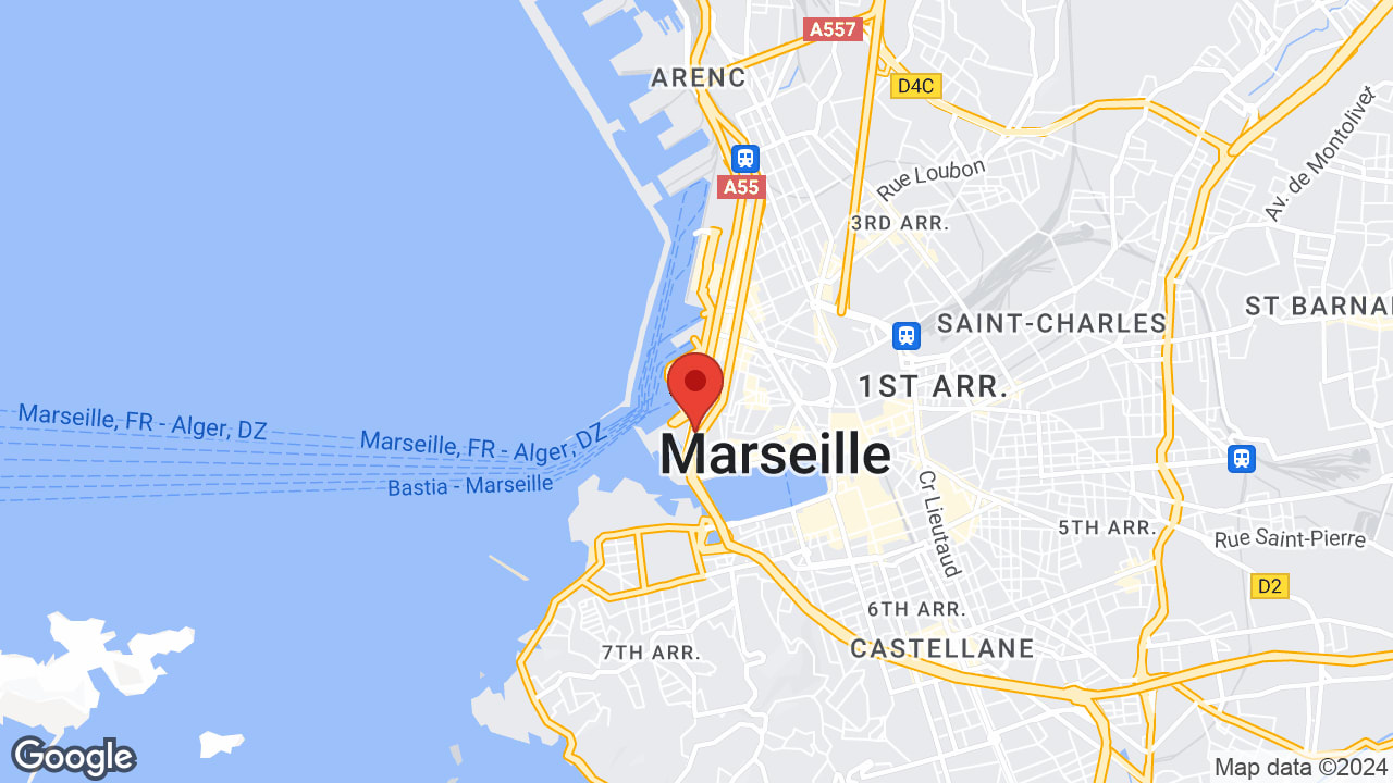 Google map