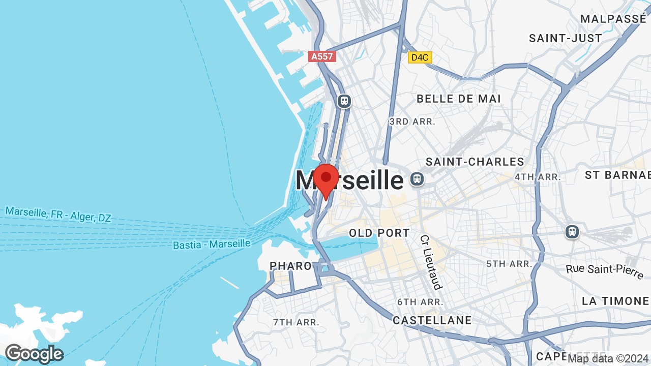 Google map