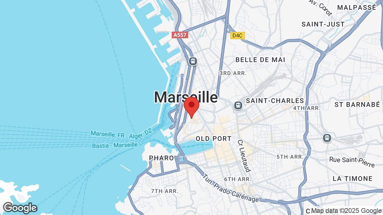 Google map