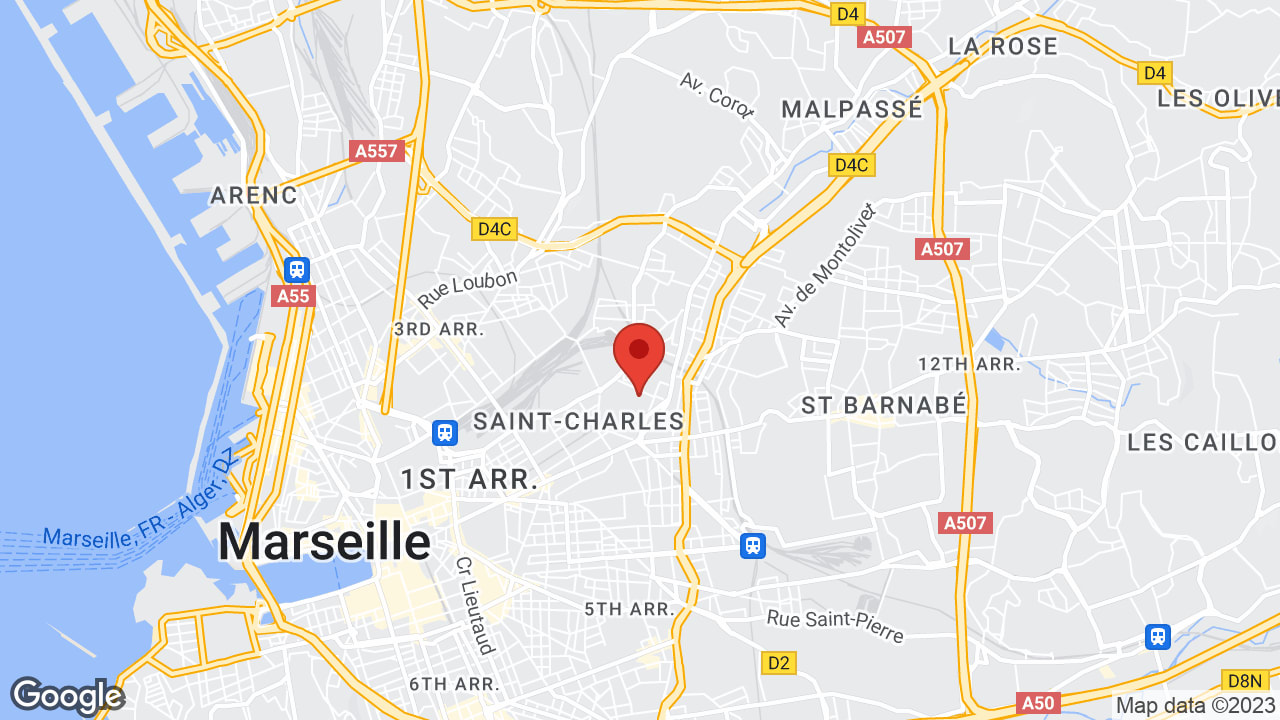 Google map