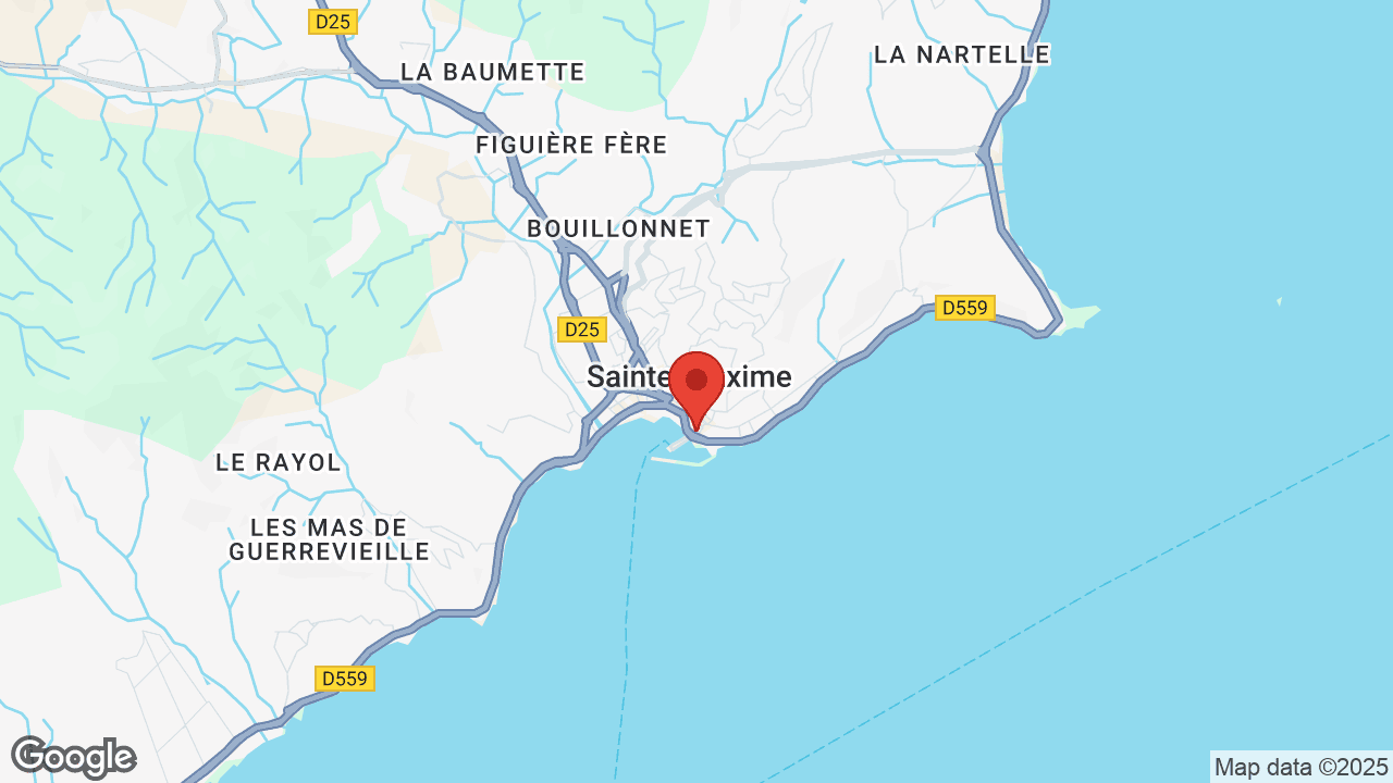 Google map