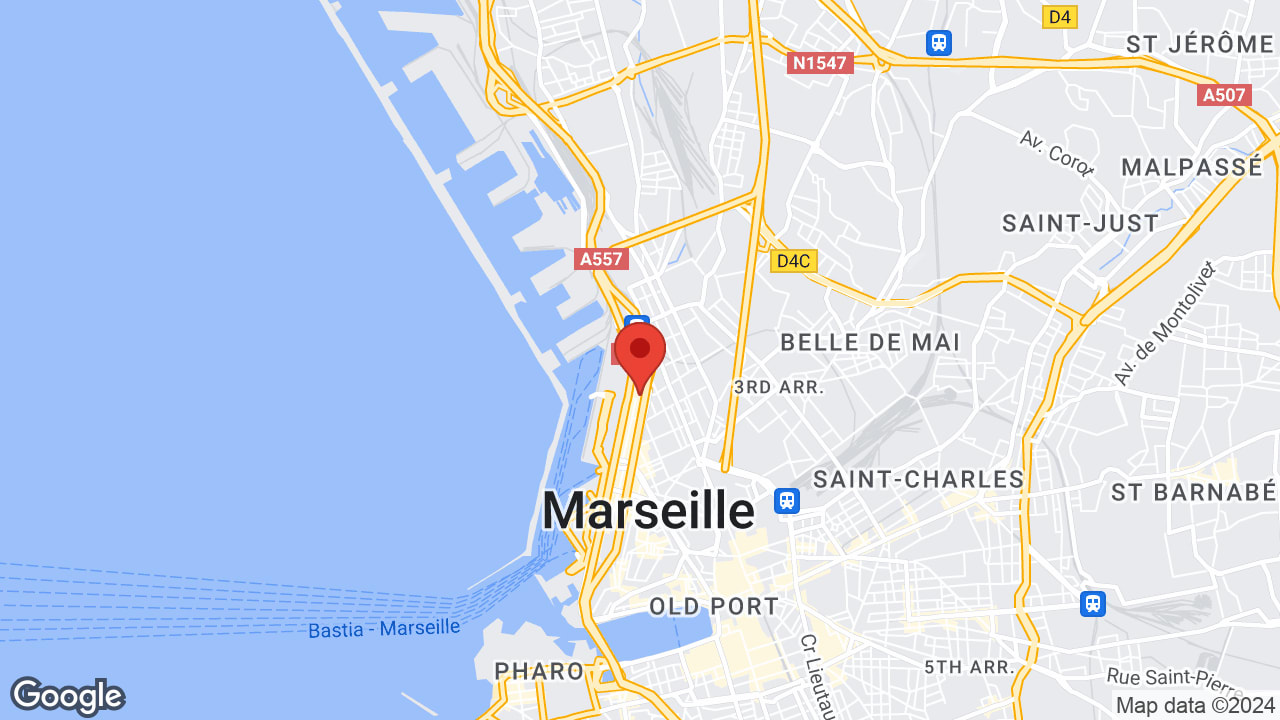 Google map