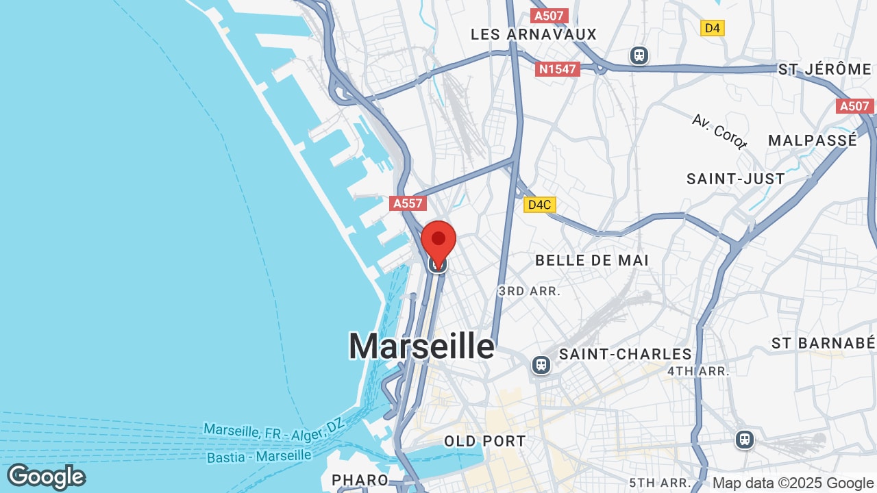 Google map