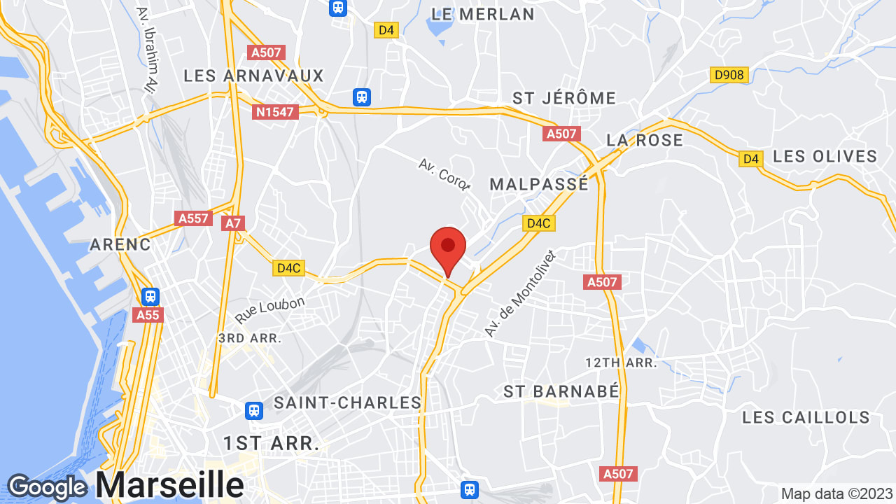 Google map