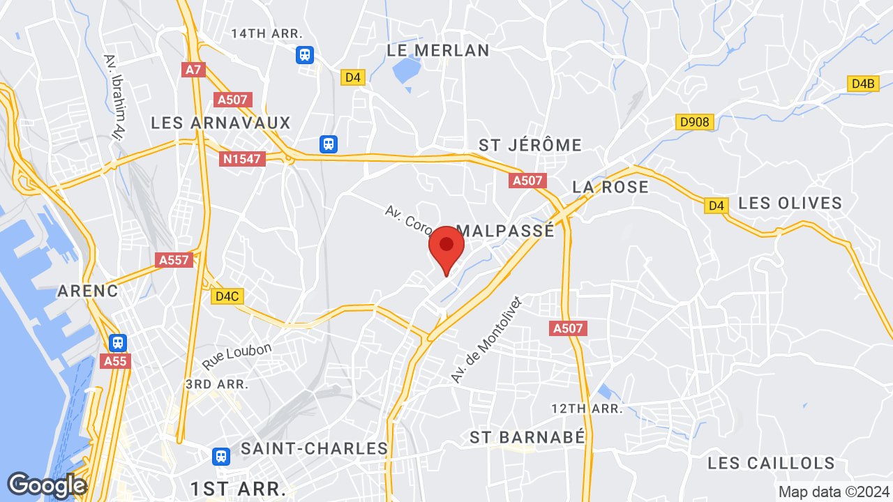 Google map