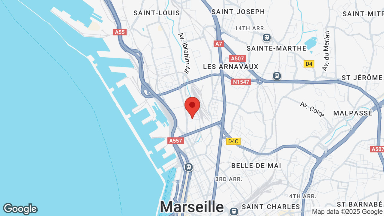 Google map