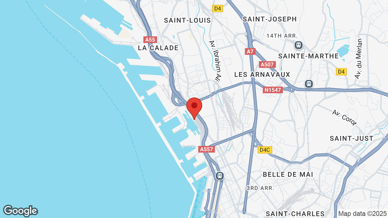 Google map