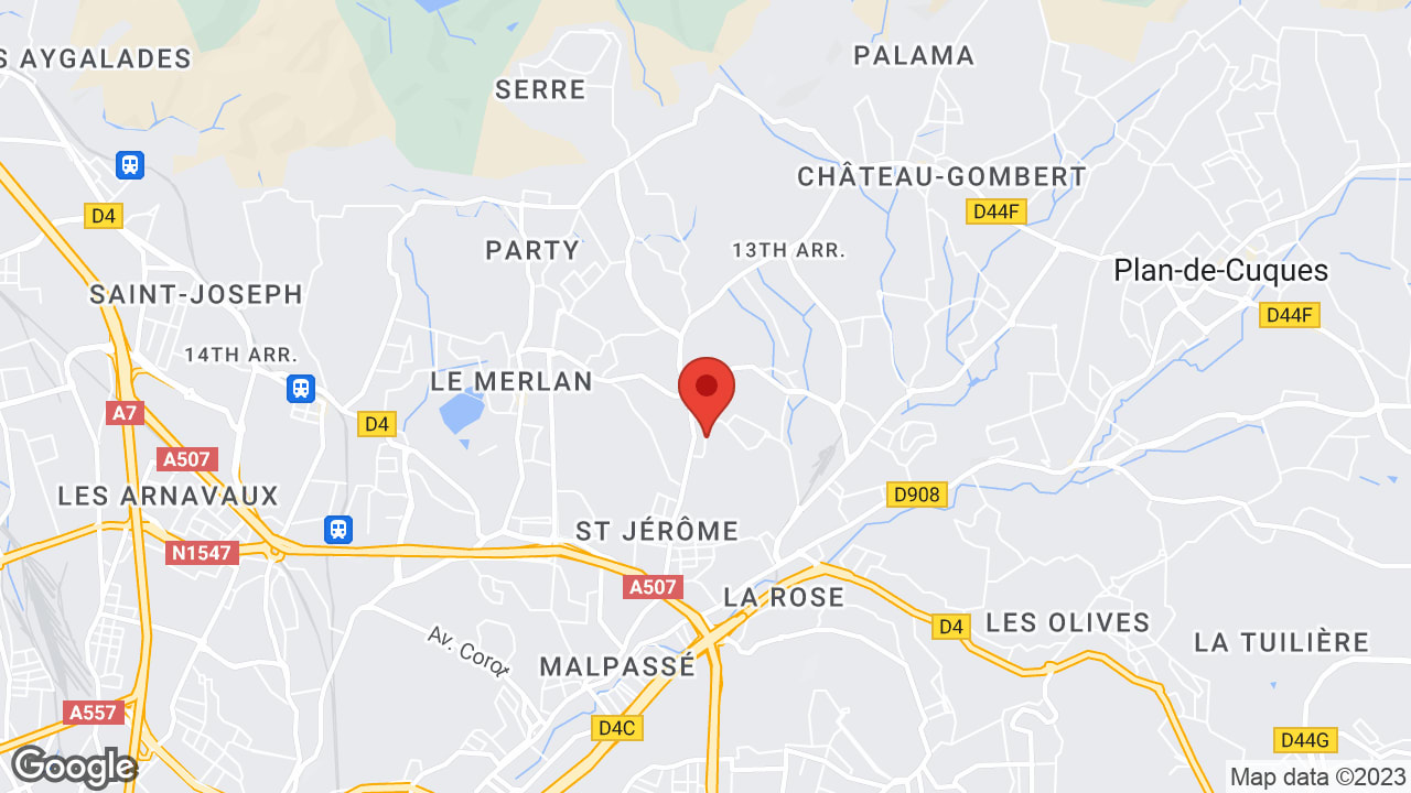 Google map