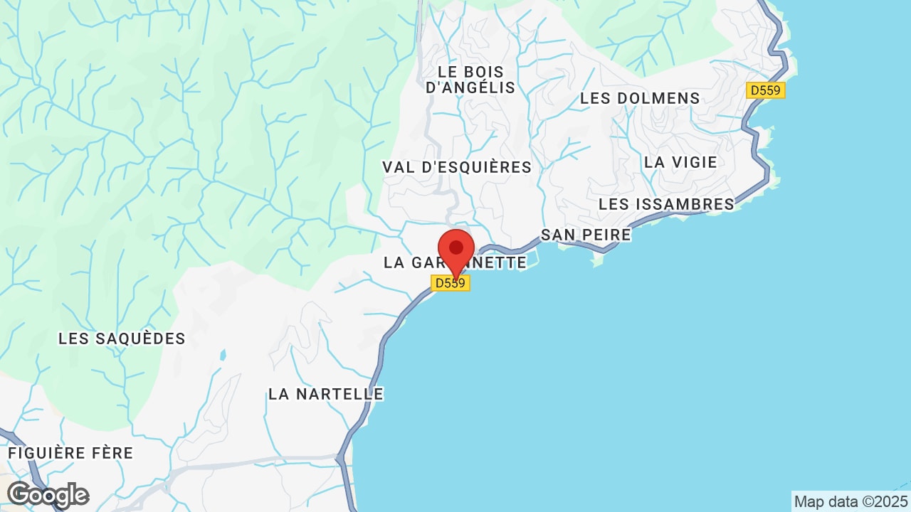 Google map