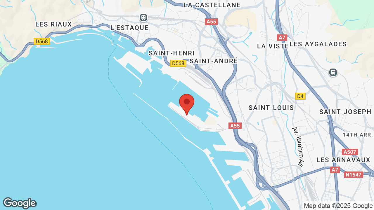 Google map