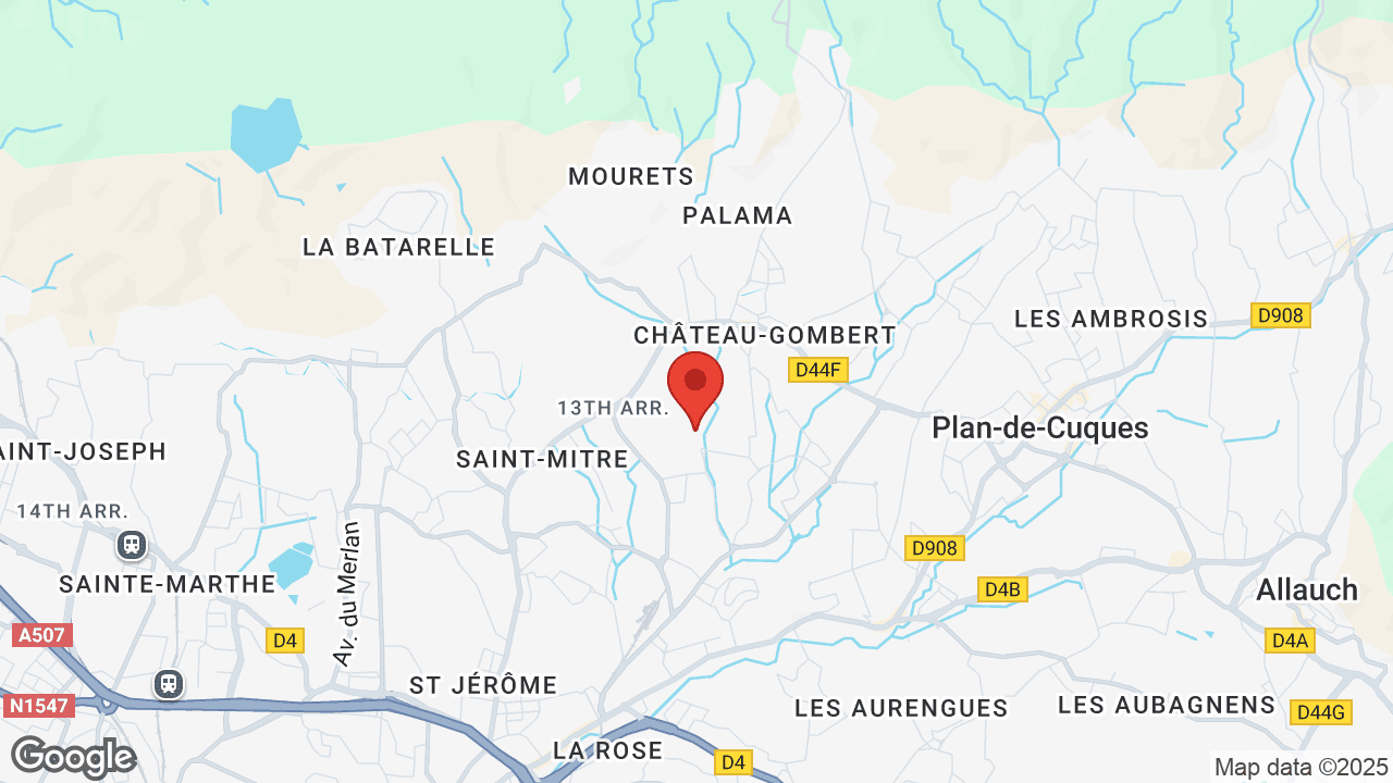 Google map