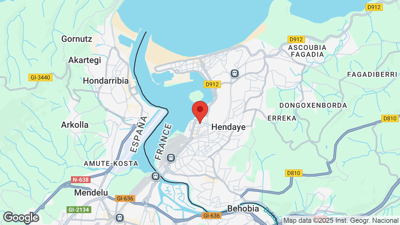Google map