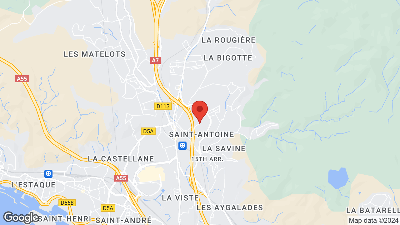 Google map
