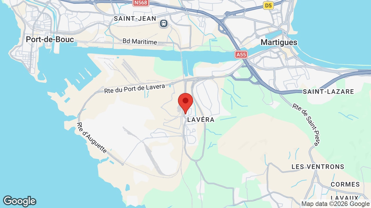 Google map