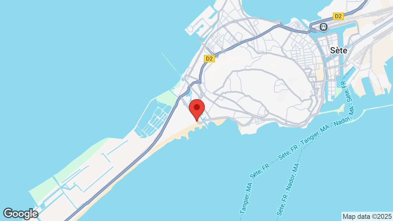 Google map
