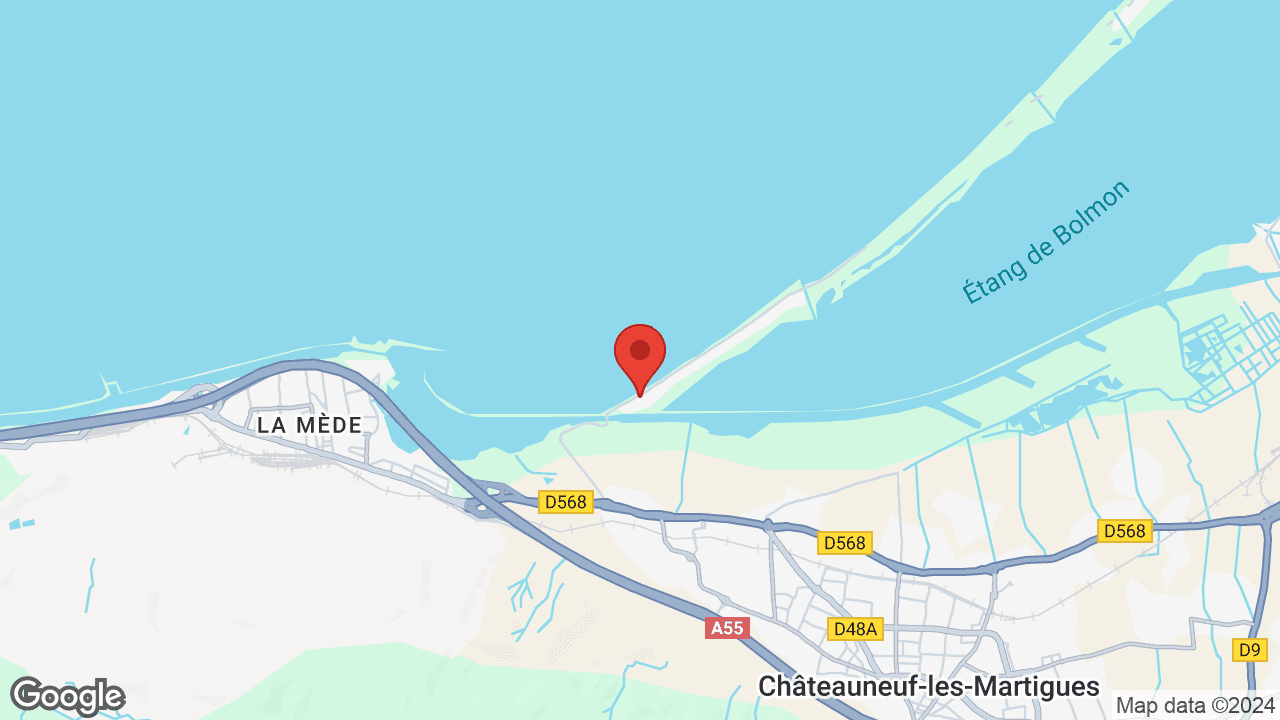 Google map