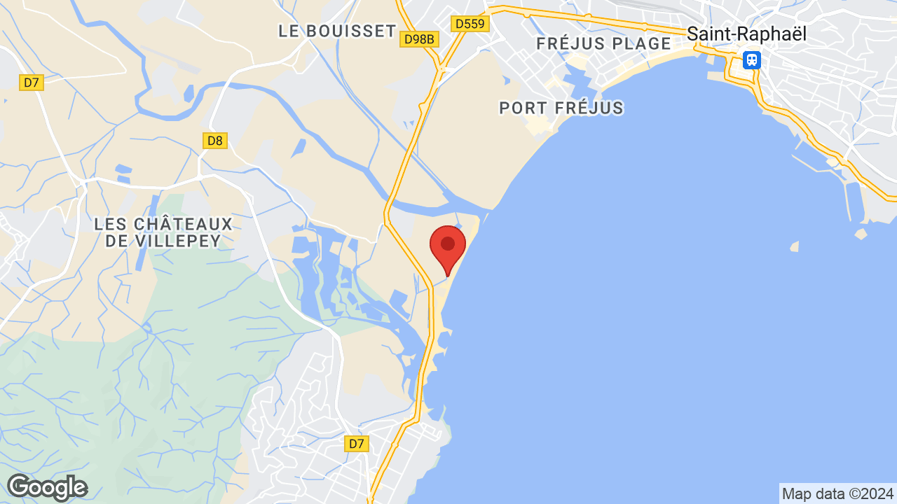 Google map