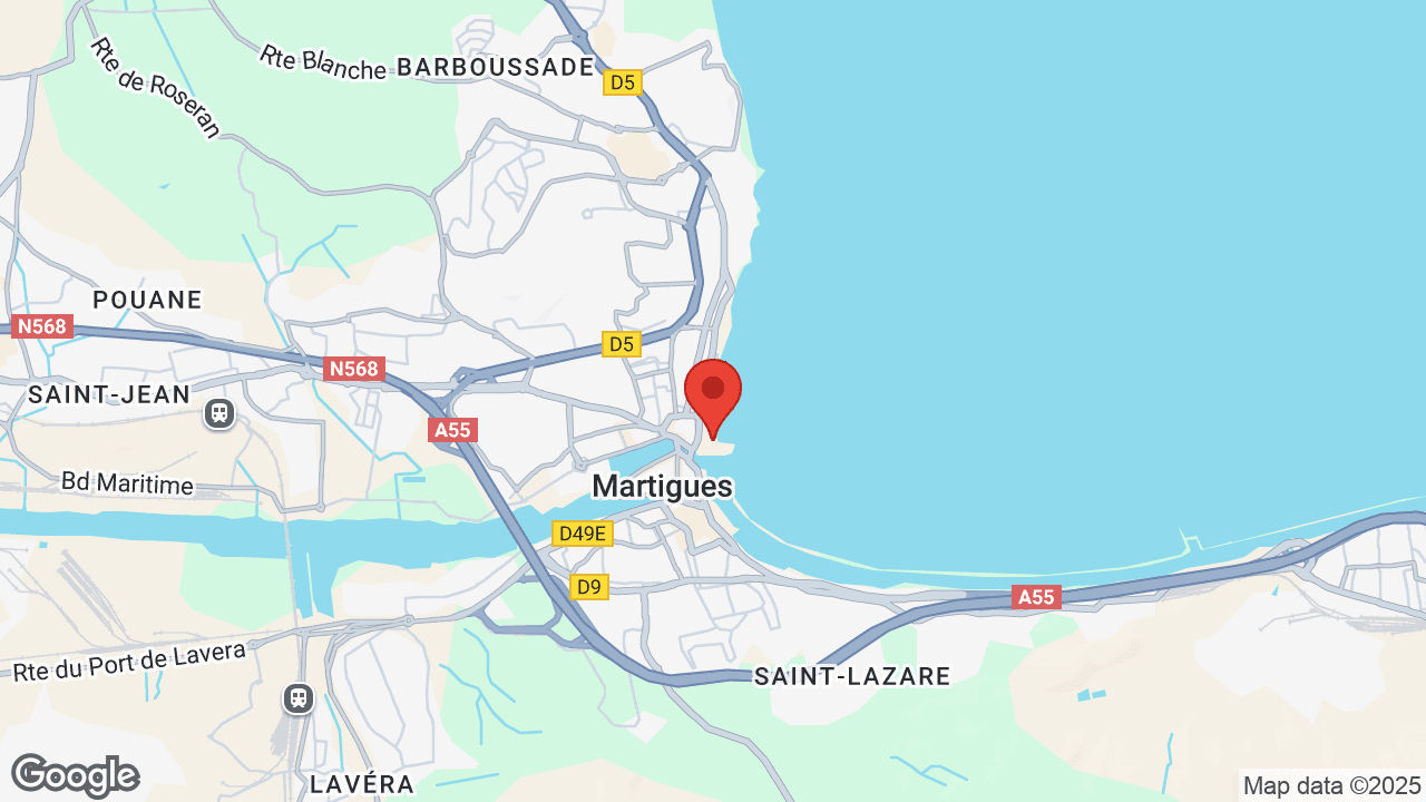 Google map