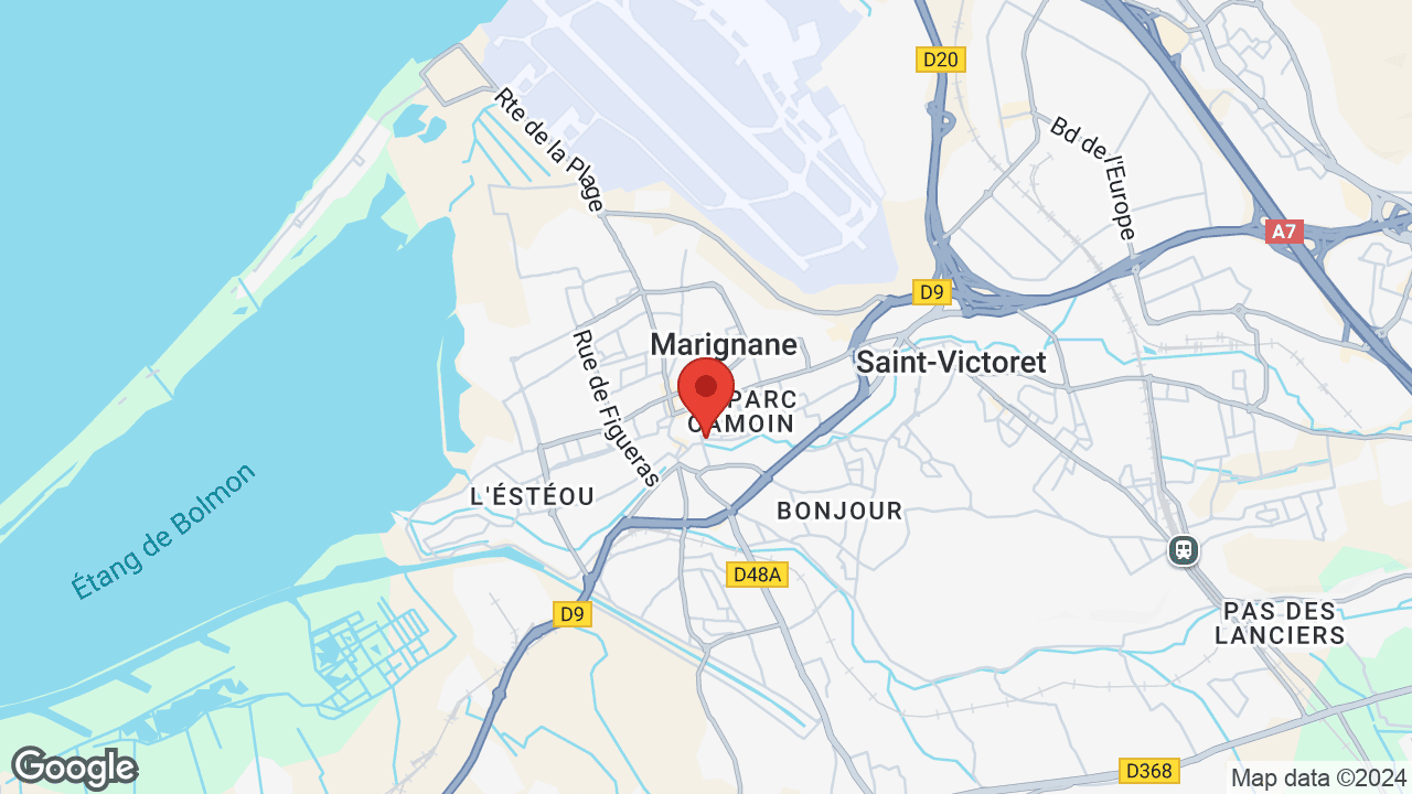 Google map
