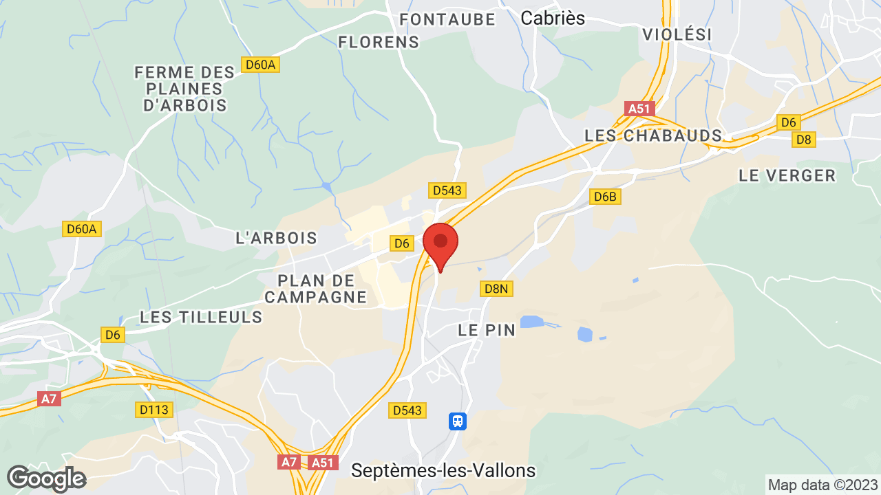 Google map
