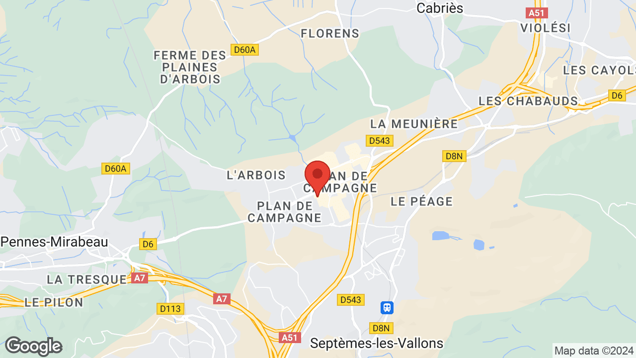 Google map