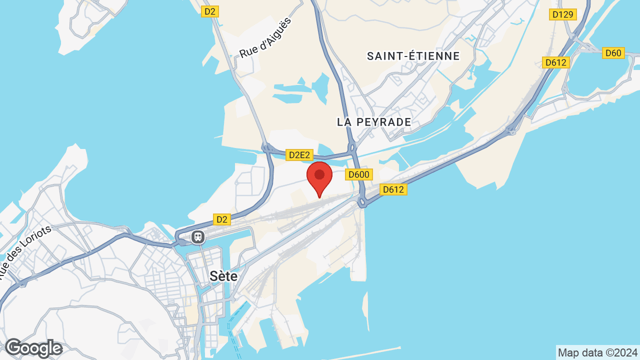 Google map