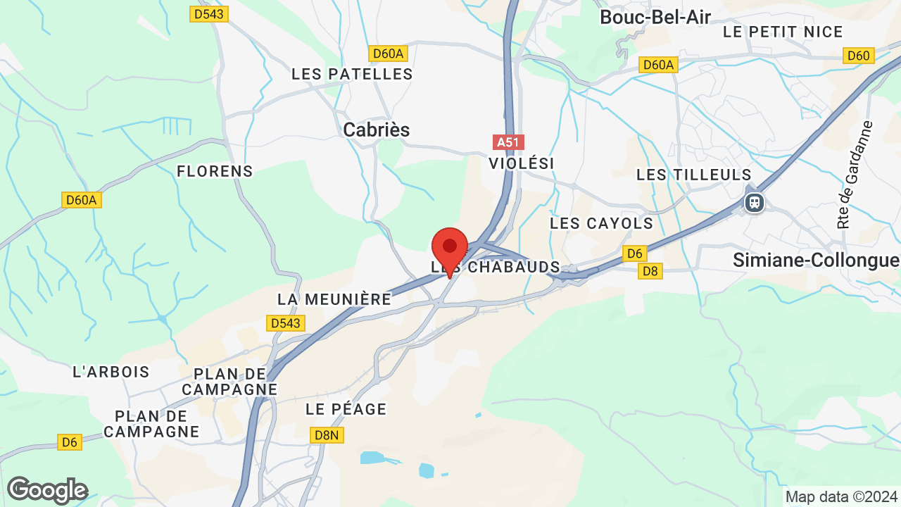 Google map