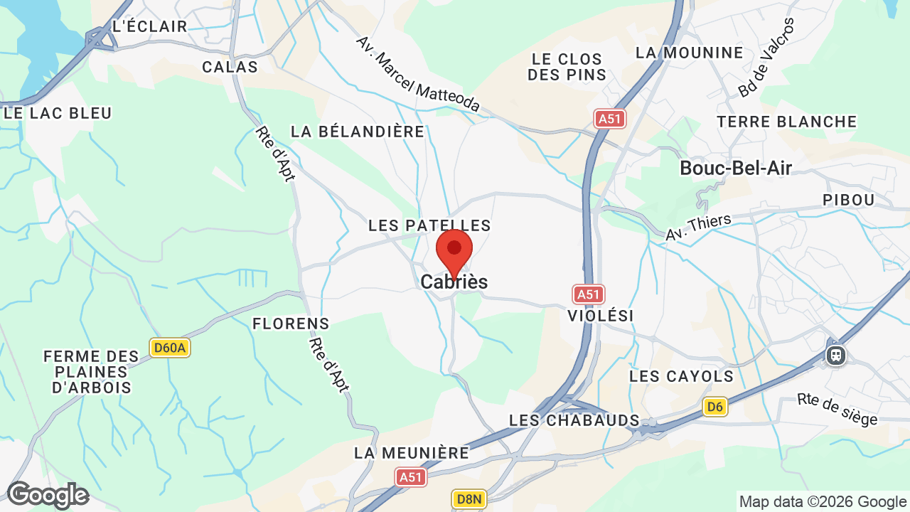 Google map