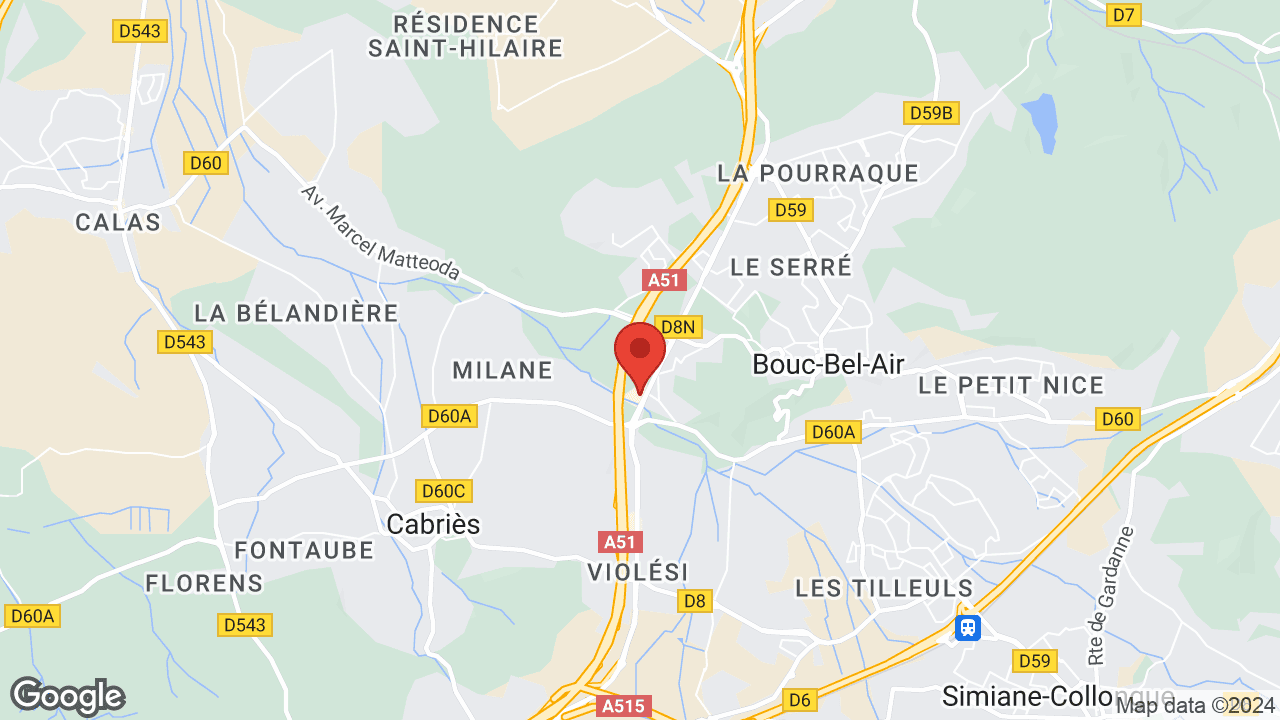 Google map
