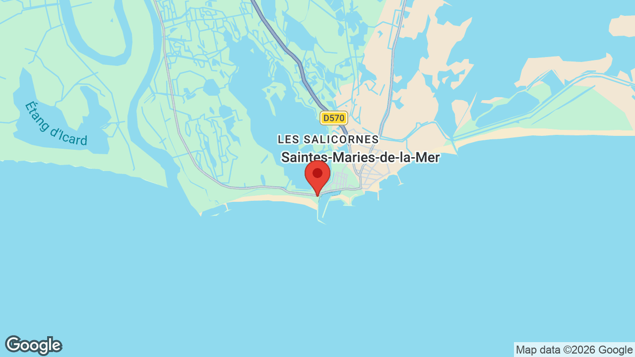 Google map