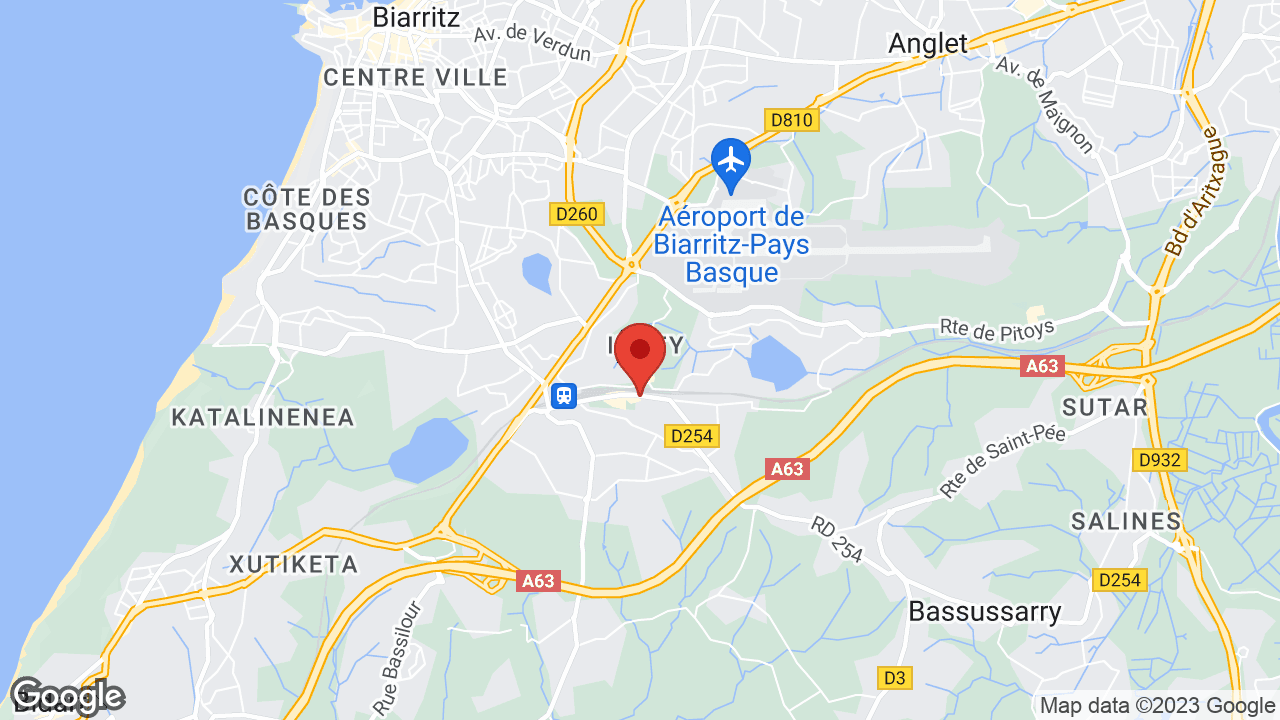Google map