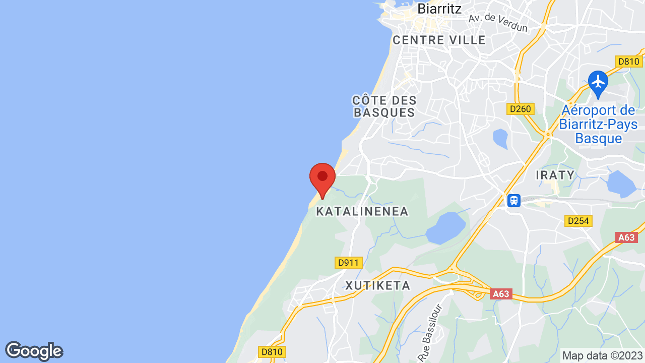 Google map